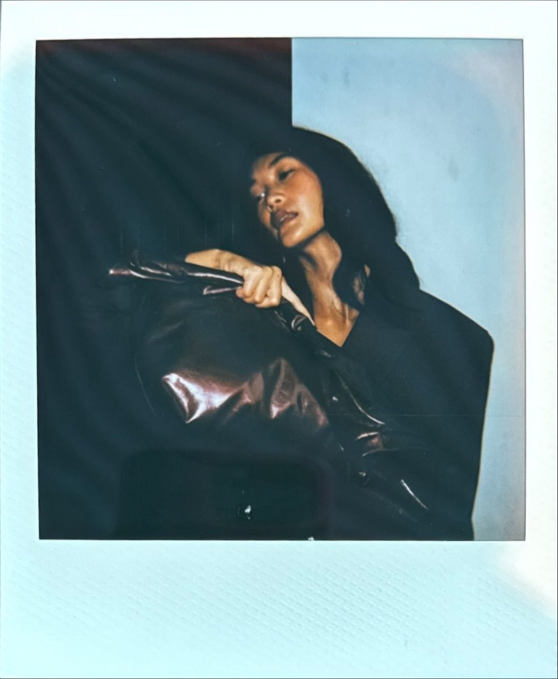POLAROIDS SS27